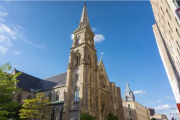 Buffalo cathedral